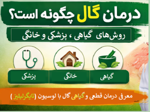 درمان گال چگونه است؟