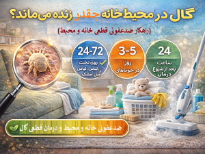 گال در محیط خانه چقدر زنده می‌ماند؟